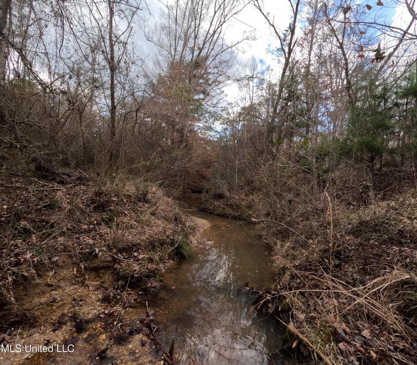 176 Acres near Mendenhall, MS The land is a strong mix for - photo 5