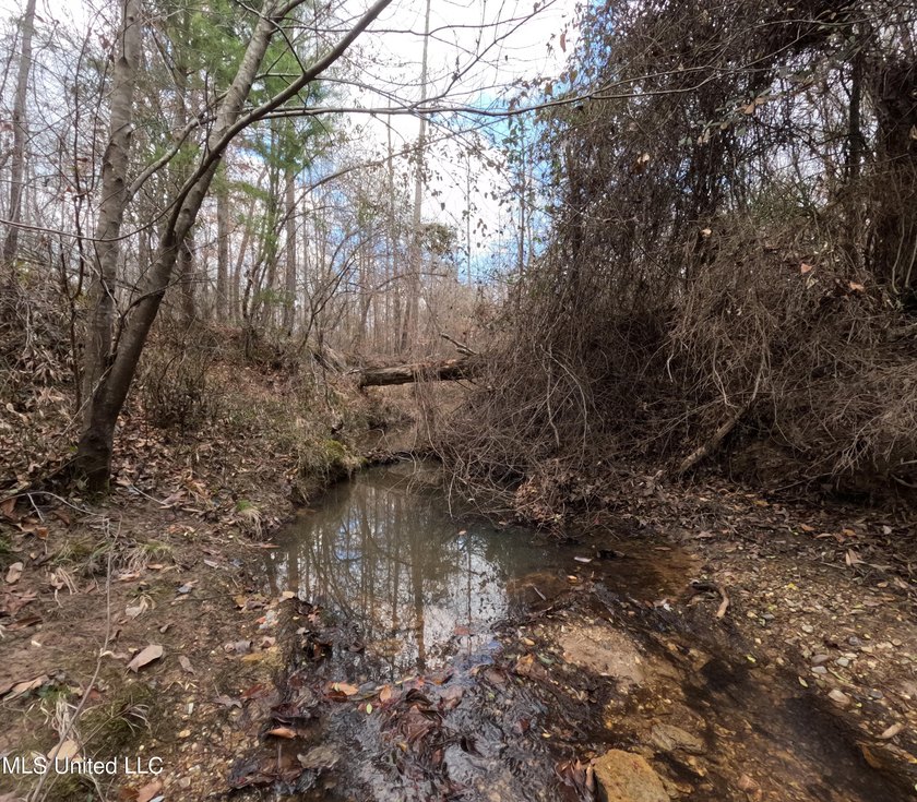 176 Acres near Mendenhall, MS The land is a strong mix for - photo 6
