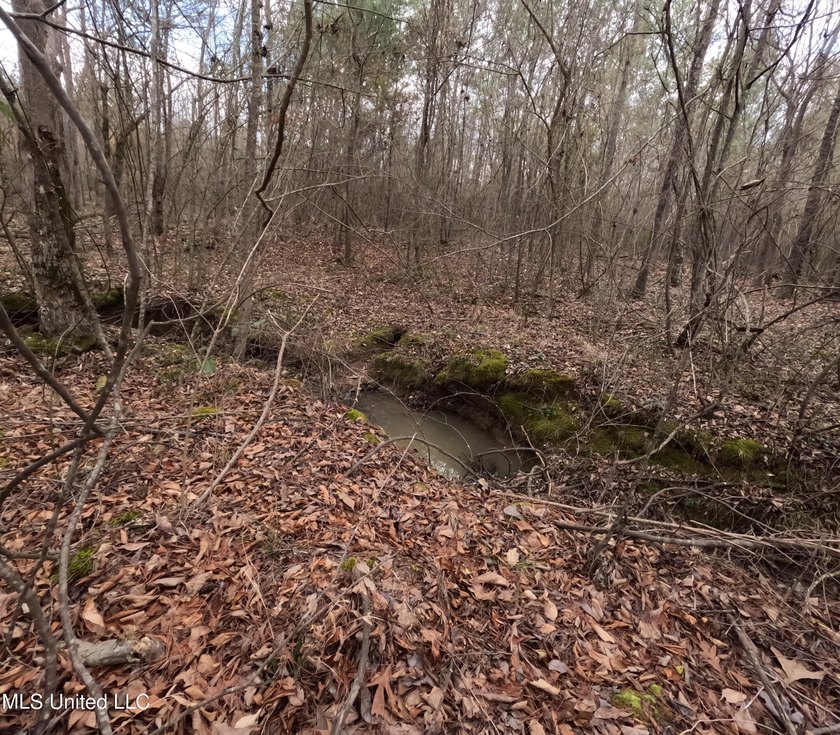 176 Acres near Mendenhall, MS The land is a strong mix for - photo 9