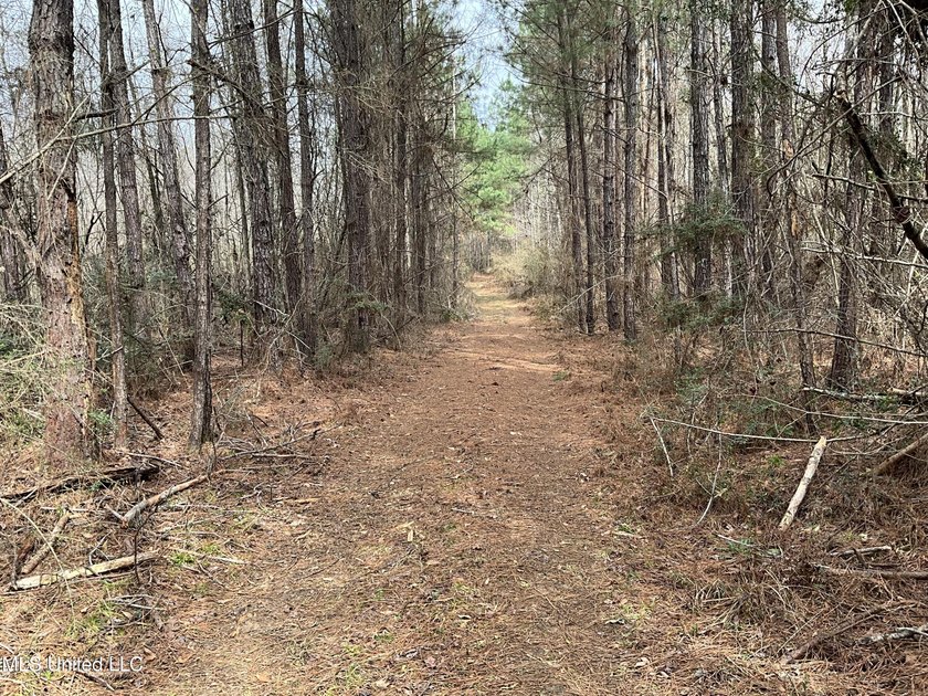 Thank you for viewing this unique 171.71 Acre timber farm in - photo 4