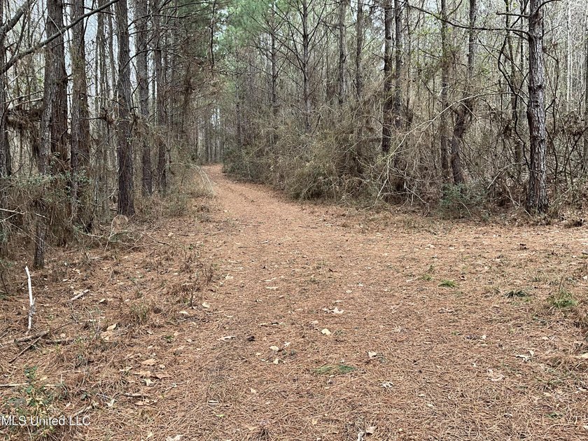 Thank you for viewing this unique 171.71 Acre timber farm in - photo 5