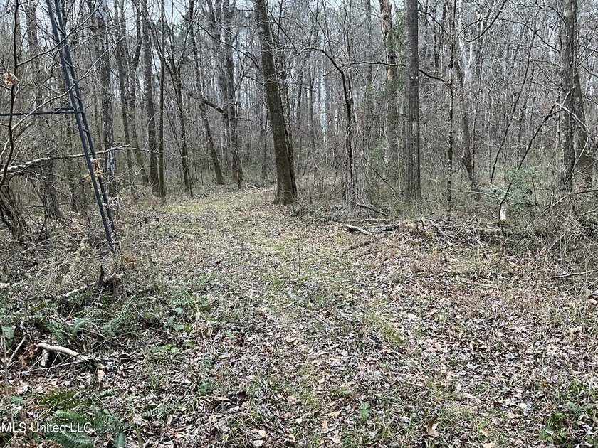 Thank you for viewing this unique 171.71 Acre timber farm in - photo 8