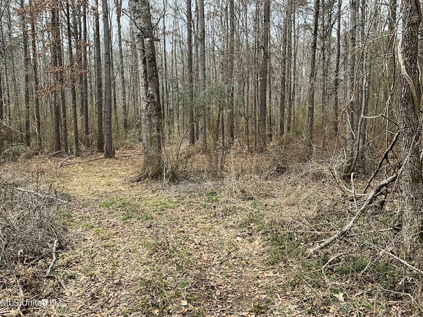 Thank you for viewing this unique 171.71 Acre timber farm in - photo 9