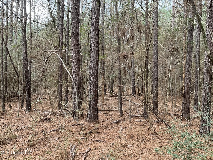 Thank you for viewing this unique 171.71 Acre timber farm in - photo 10