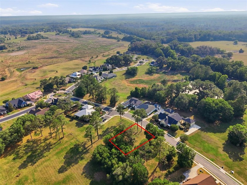 Build the custom home you've always envisioned on this stunning - photo 4