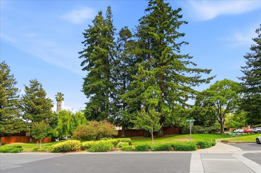 Beautifully updated 3-bedroom, 2.5-bath home in the highly - photo 33