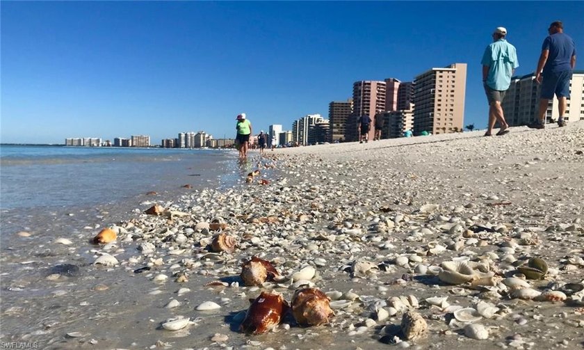 Experience the Marco Island lifestyle at an incredible price in - photo 41