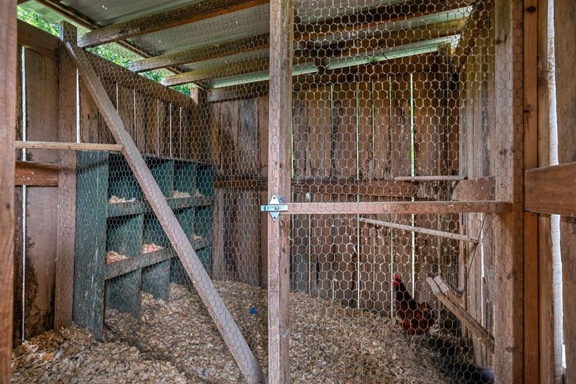 Welcome to your MINI FARM! Complete with farm animals, fruit - photo 38