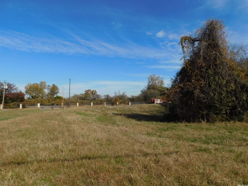 Property is 39,380 square feet +/-. It was at one time 4 lots - photo 3