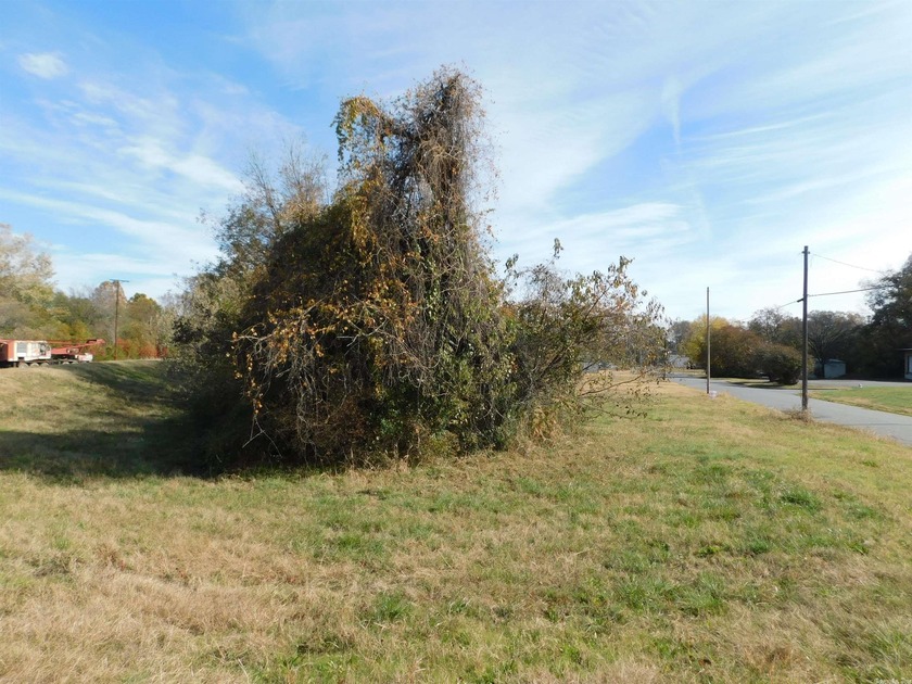 Property is 39,380 square feet +/-. It was at one time 4 lots - photo 7