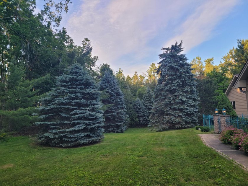 Welcome to Long Acres, a beautiful forest just outside of - photo 4