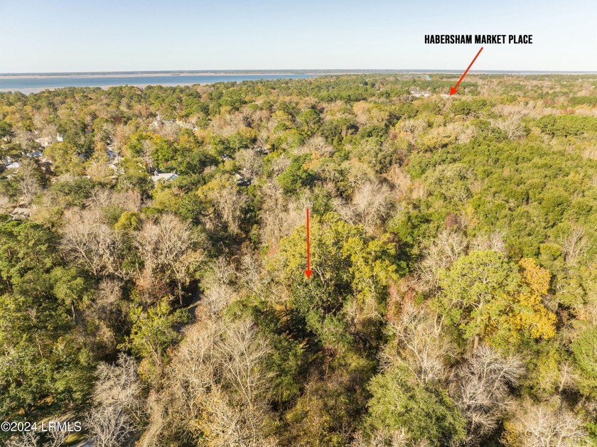 BUILD YOUR 2026 DREAM IN HABERSHAM. This premium .16-acre - photo 11