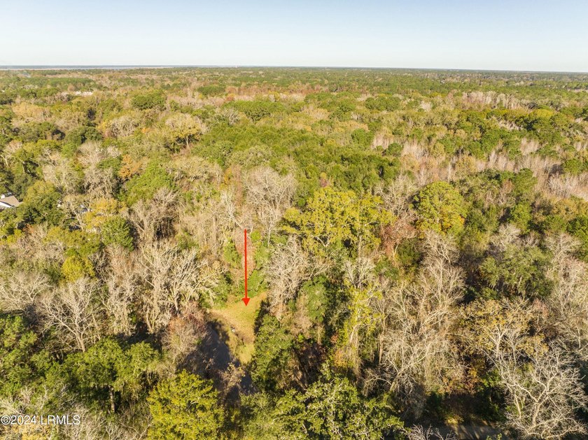 BUILD YOUR 2026 DREAM IN HABERSHAM. This premium .16-acre - photo 13