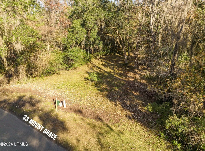 BUILD YOUR 2026 DREAM IN HABERSHAM. This premium .16-acre - photo 15