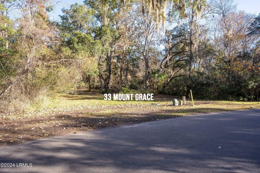 BUILD YOUR 2026 DREAM IN HABERSHAM. This premium .16-acre - photo 18