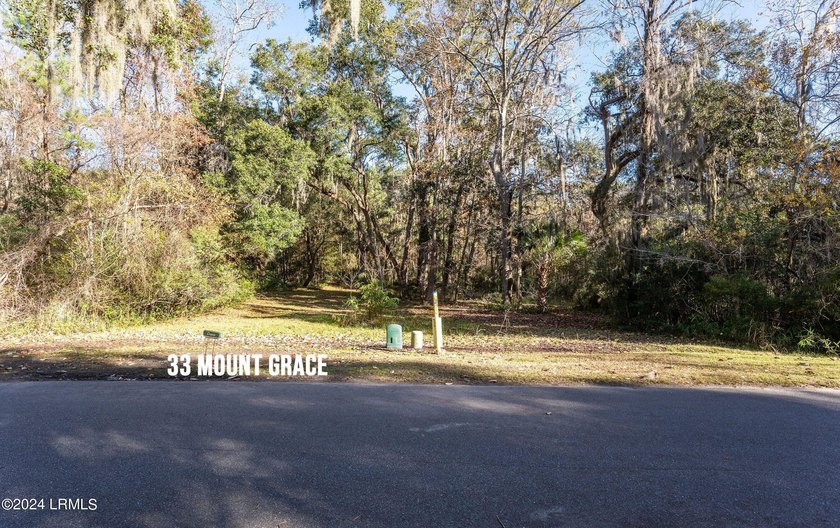 BUILD YOUR 2026 DREAM IN HABERSHAM. This premium .16-acre - photo 19