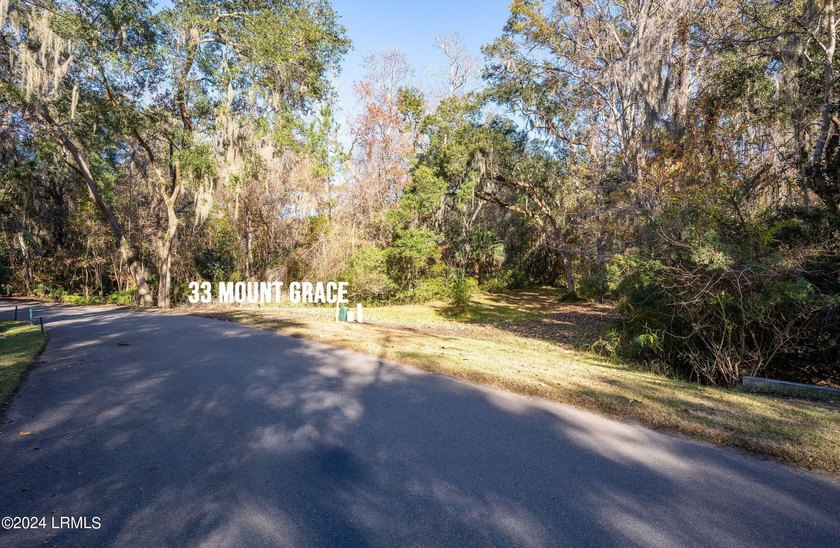 BUILD YOUR 2026 DREAM IN HABERSHAM. This premium .16-acre - photo 20
