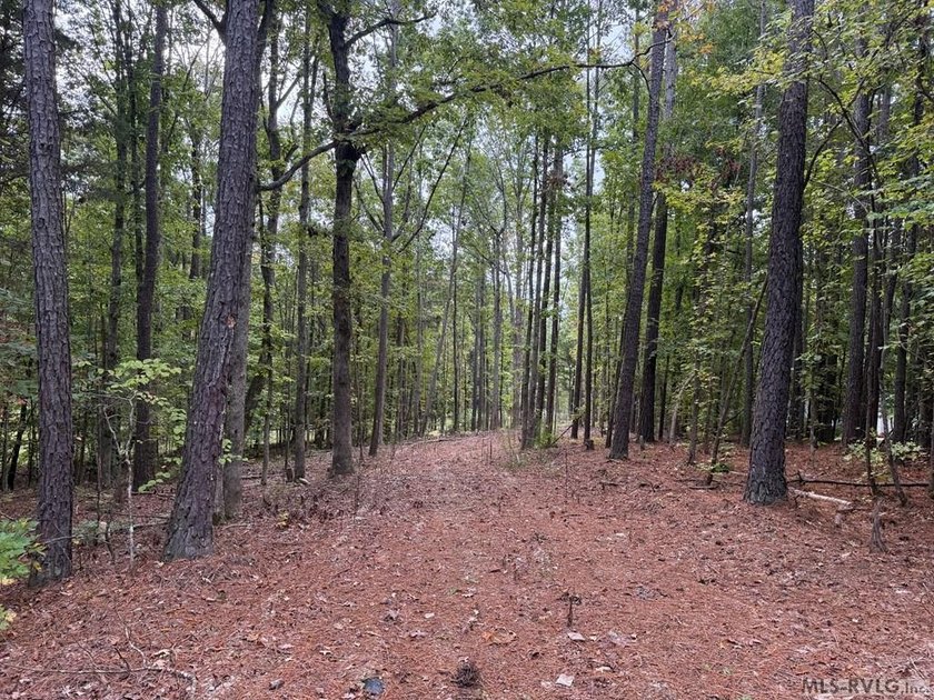 This is a great waterfront lot in Jimmie's Creek with just over - photo 3