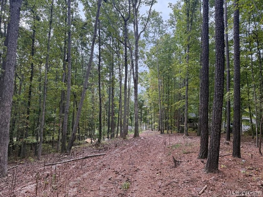 This is a great waterfront lot in Jimmie's Creek with just over - photo 5