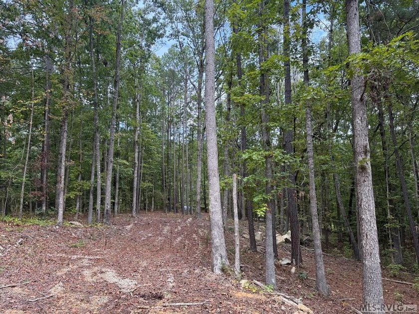 This is a great waterfront lot in Jimmie's Creek with just over - photo 6