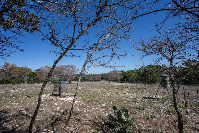 Set on 22.45 wildlife-exempt AC in the heart of the Hill Country - photo 49