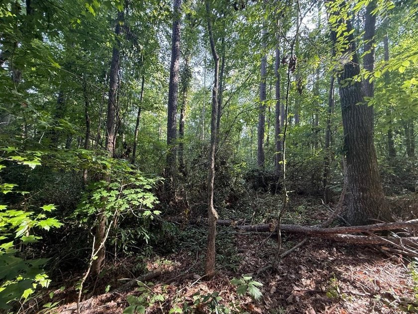 Great home site. 3 residential lots that total 1.25 acres - photo 6