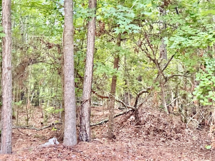 Great opportunity to build your dream home in the highly - photo 2