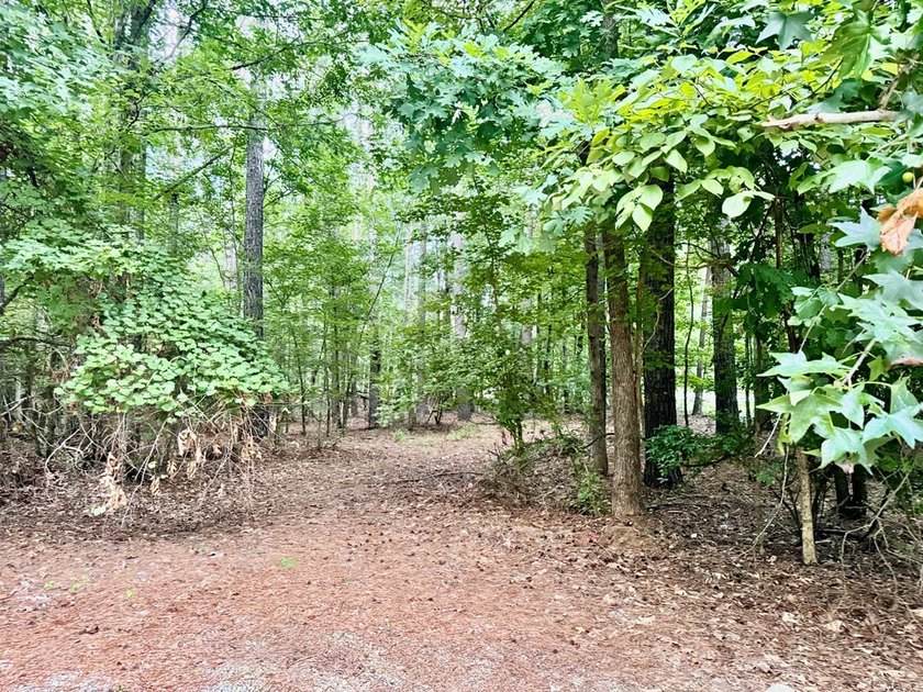 Great opportunity to build your dream home in the highly - photo 3