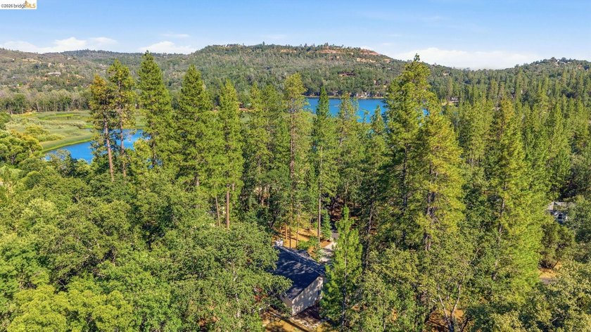 Experience the beauty of foothill living in this elegant home - photo 3