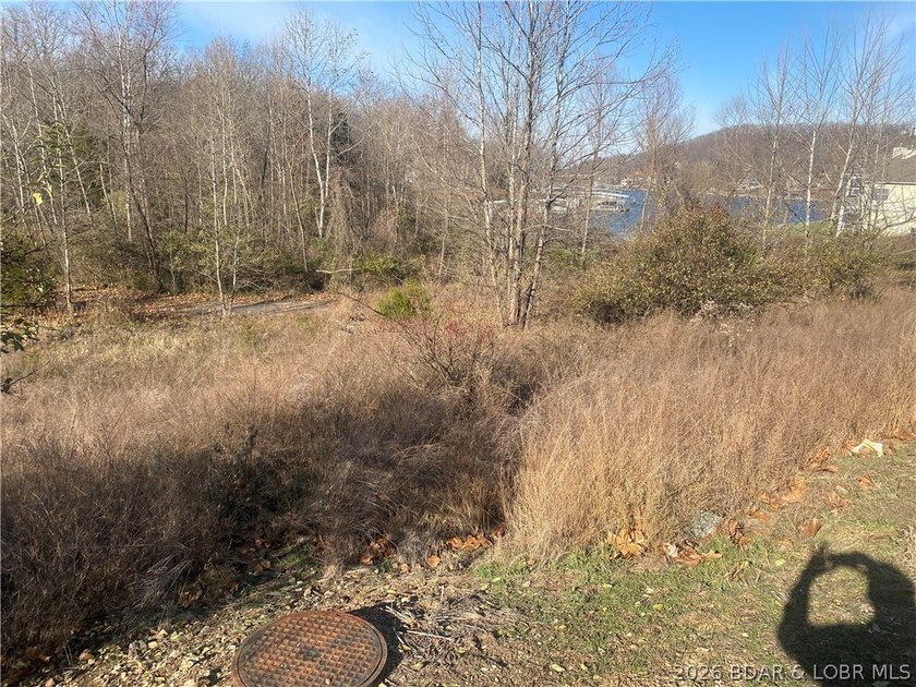 Outstanding 9 lots development opportunity in Country Club Cove - photo 11