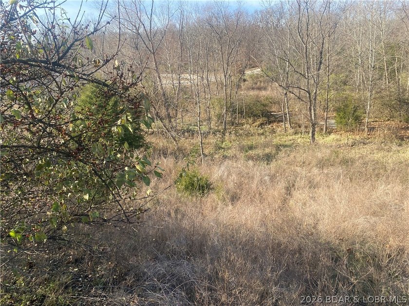 Outstanding 9 lots development opportunity in Country Club Cove - photo 12