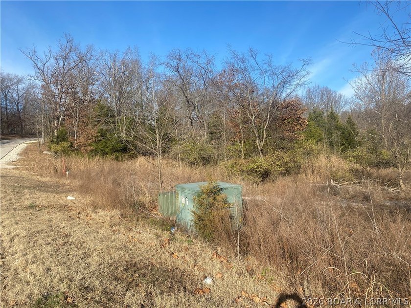 Outstanding 9 lots development opportunity in Country Club Cove - photo 14