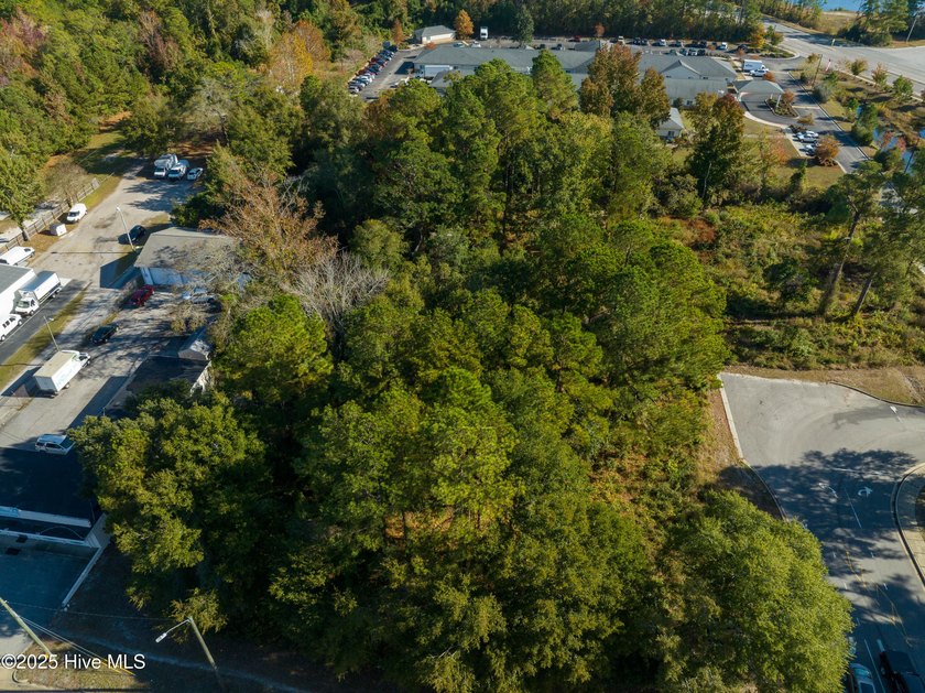 Vacant land ready for development on Carolina Beach Road near - photo 8