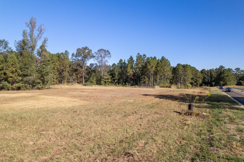 22.65+/- acres with 1,000+/- feet of frontage along Lamar - photo 7