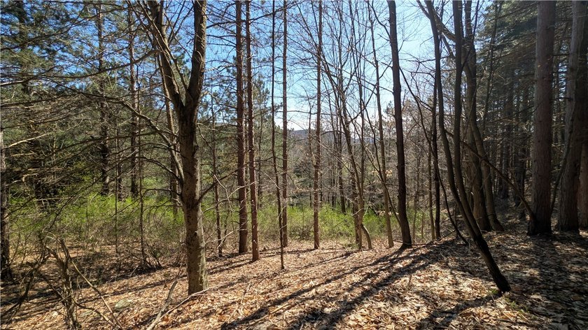 This property offers an opportunity to set up a primary - photo 30