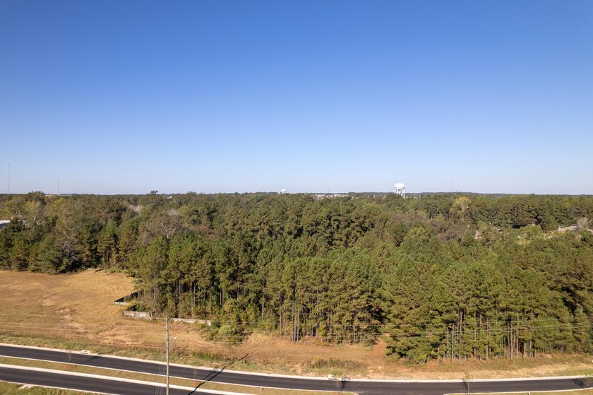22.65+/- acres with 1,000+/- feet of frontage along Lamar - photo 10