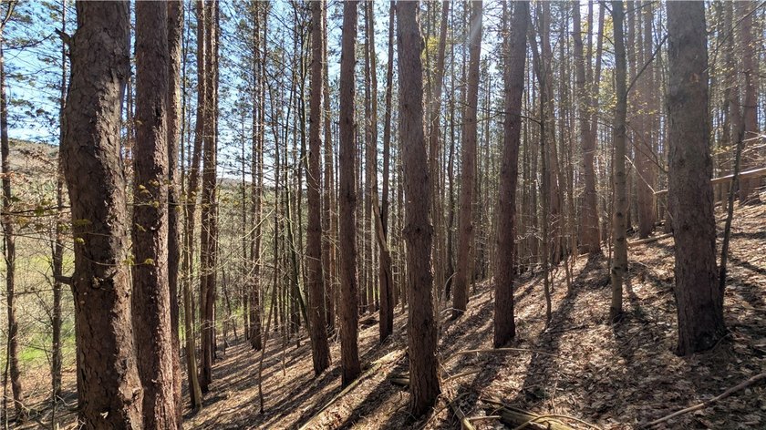 This property offers an opportunity to set up a primary - photo 35