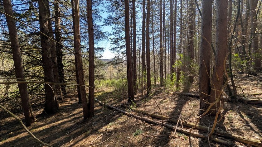 This property offers an opportunity to set up a primary - photo 36