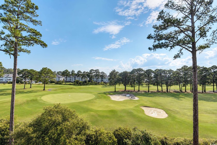 Welcome to Magnolia Pointe, one of Myrtle Beach's most desirable - photo 17