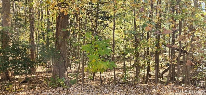 Tucked away at the end of a quiet cul-de-sac, this 2.5 acre - photo 2