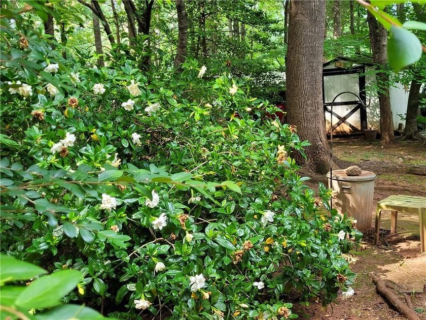 This beautiful quant weekend getaway or primary resident is a 3 - photo 11