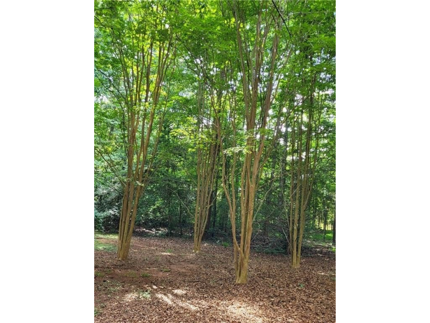 This beautiful quant weekend getaway or primary resident is a 3 - photo 13