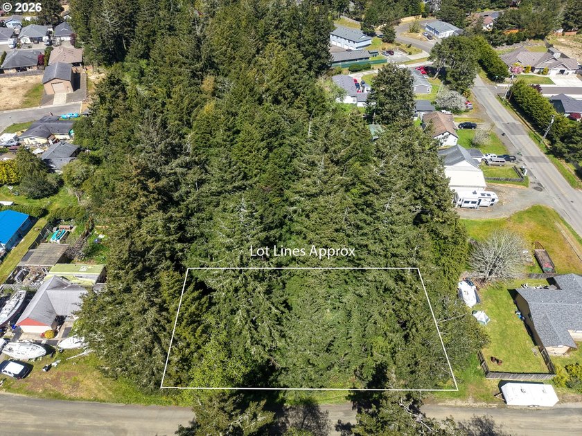 Spacious 110' x 80' wooded lot with peaceful creek frontage - photo 3