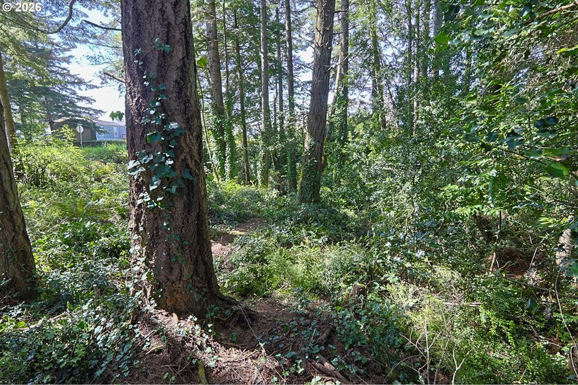 Spacious 110' x 80' wooded lot with peaceful creek frontage - photo 7