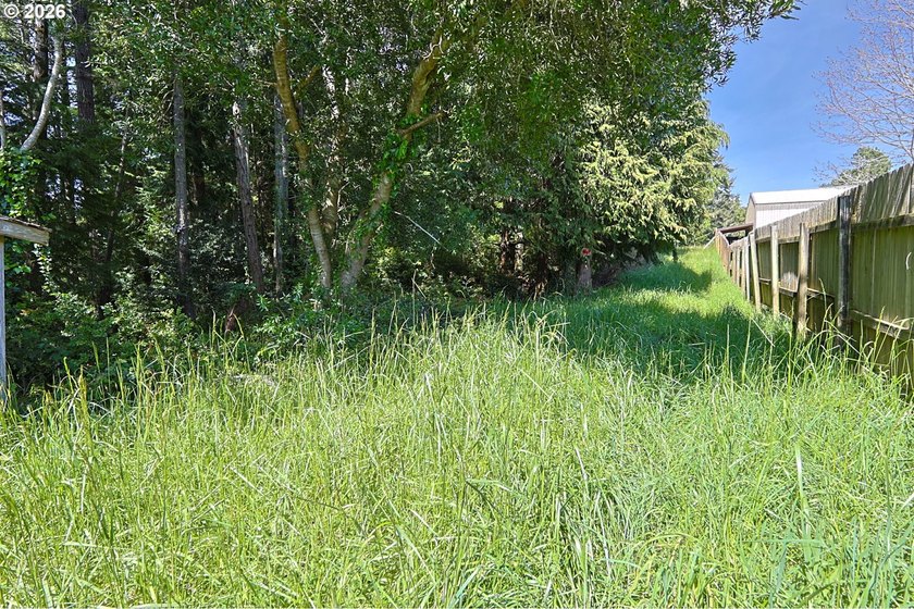Spacious 110' x 80' wooded lot with peaceful creek frontage - photo 9