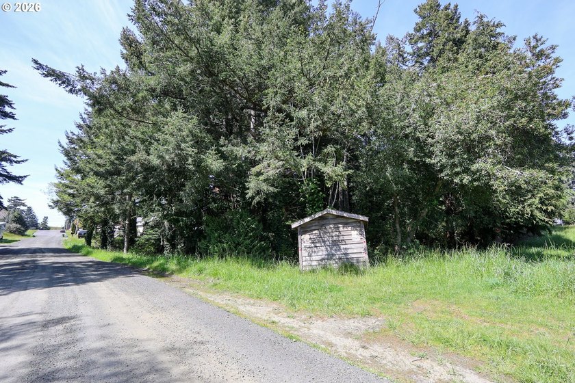 Spacious 110' x 80' wooded lot with peaceful creek frontage - photo 10