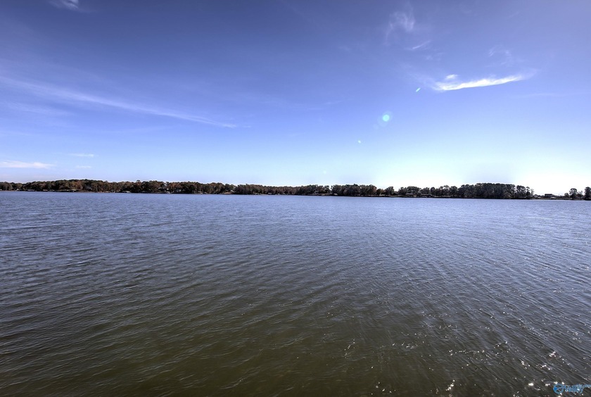 Weiss Lake Deep Water Retreat - Furnished | 2 Boat Slips | - photo 39