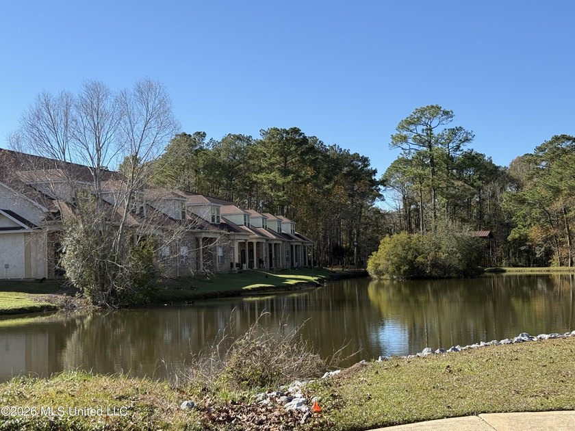 Opportunity is knocking at Lakeview Townhomes on Capri Place in - photo 10