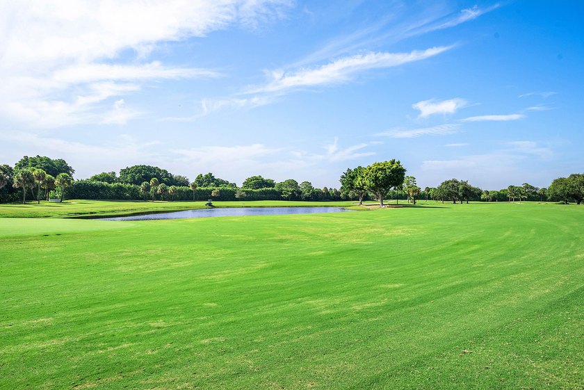 Fully renovated Brookfield home overlooking the Jack Nicklaus - photo 36