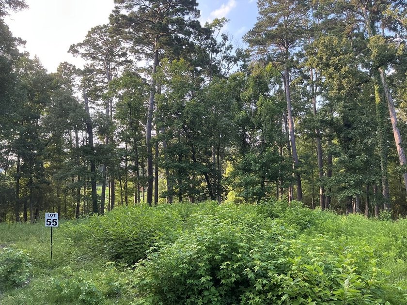 Here's your chance to own 3 adjoining waterfront lots in a Lake - photo 11